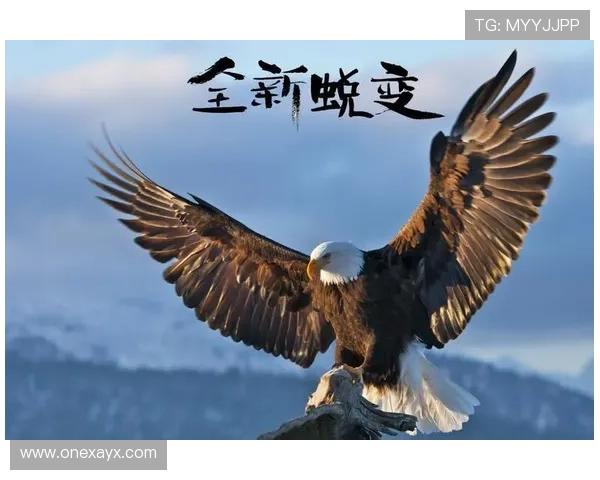 赖斯成长关键因素揭秘：从平凡到卓越的蜕变之路